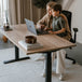 Echo | Standing Desk - IVONO