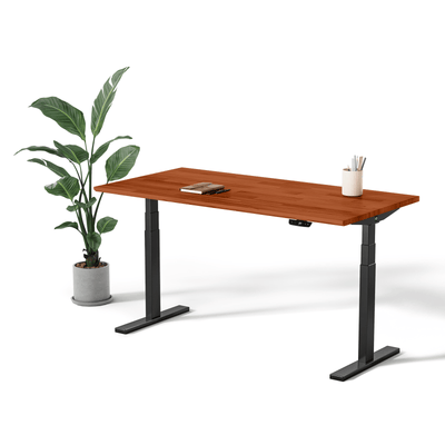 Toka | Standing Desk