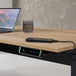 Milo | Executive Standing Desk