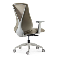 Ergonomic Office Chairs