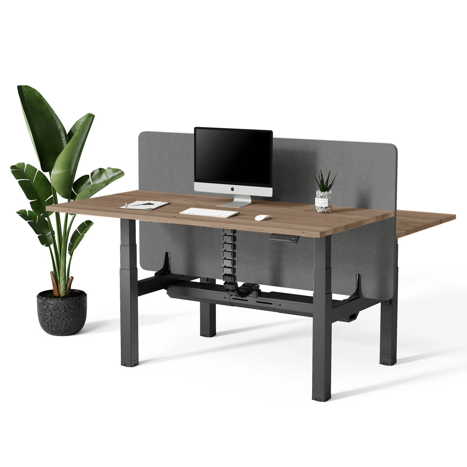 Doko | Sit - Stand Desk PRO Duo - IVONO