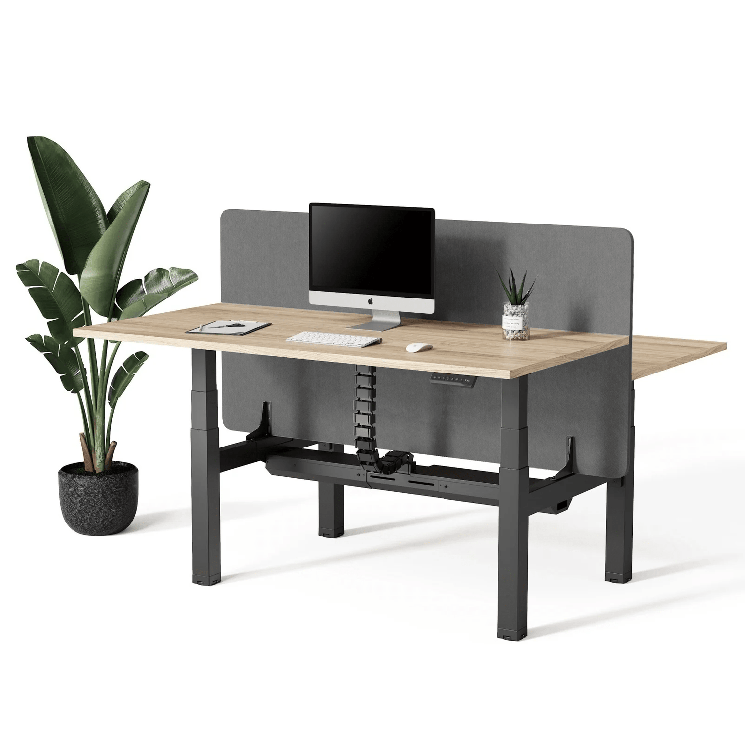Doko | Sit - Stand Desk PRO Duo - IVONO