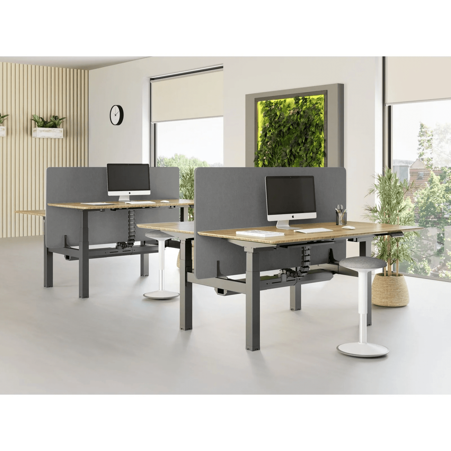 Doko | Sit - Stand Desk PRO Duo - IVONO