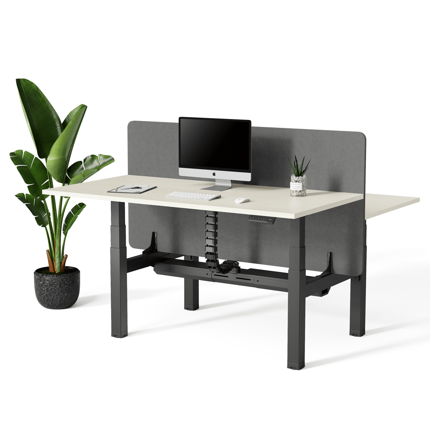 Doko | Sit - Stand Desk PRO Duo - IVONO