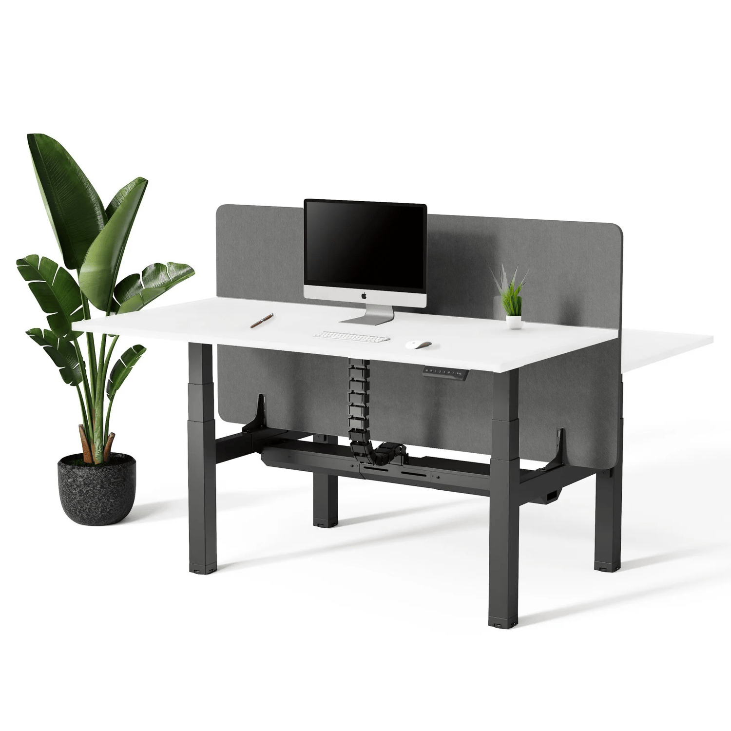 Doko | Sit - Stand Desk PRO Duo - IVONO