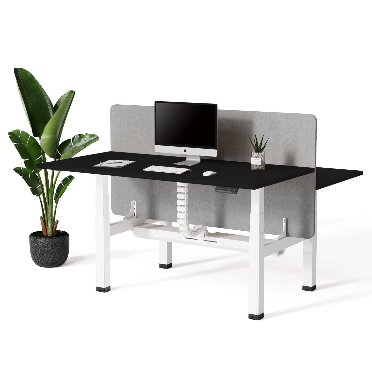 Doko | Sit - Stand Desk PRO Duo - IVONO