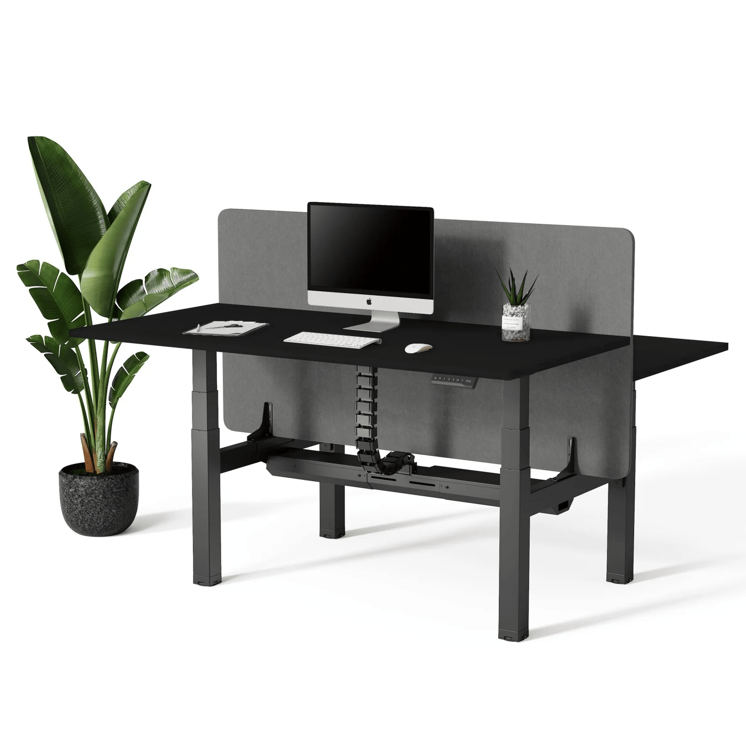 Doko | Sit - Stand Desk PRO Duo - IVONO