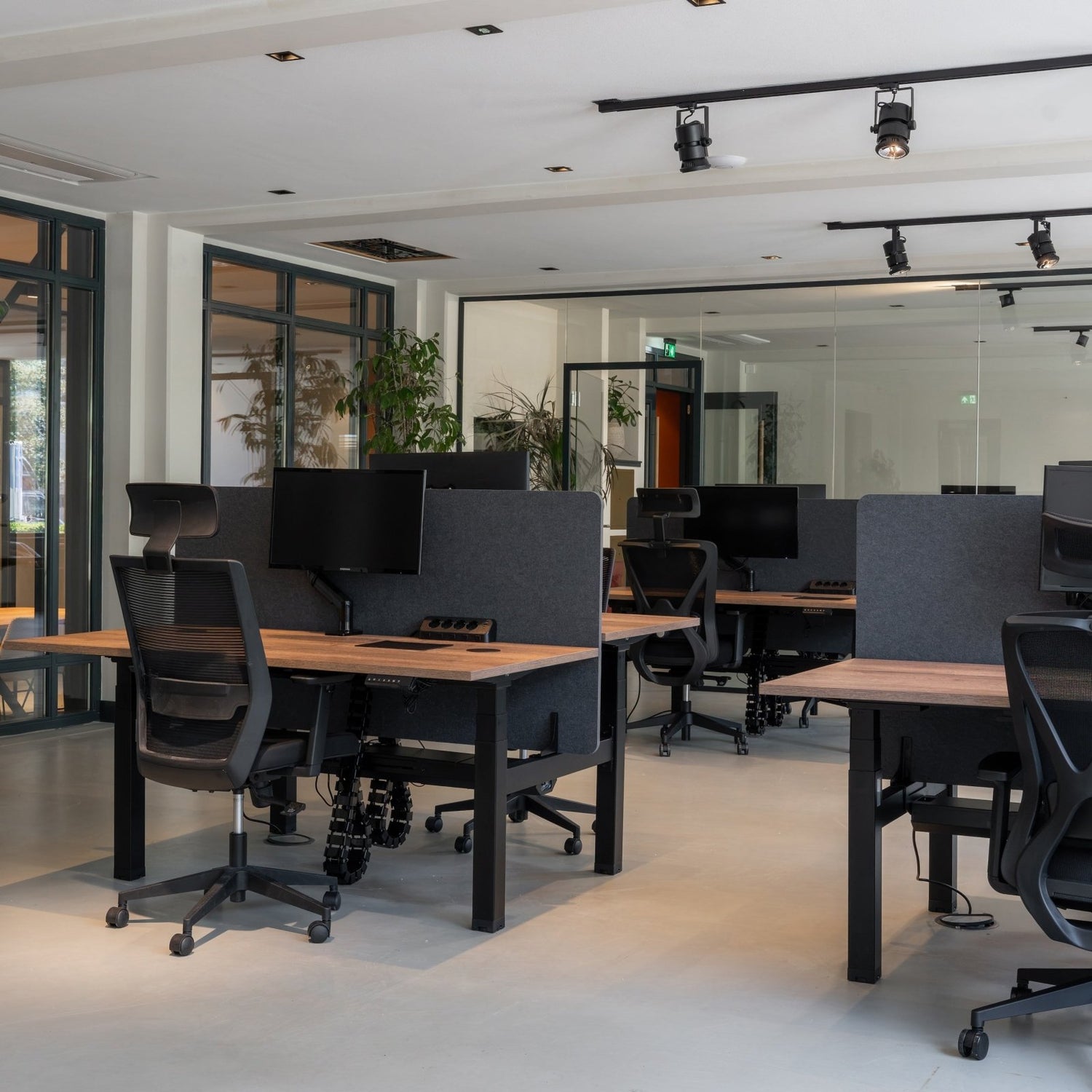 Doko | Standing Desk PRO Duo - IVONO