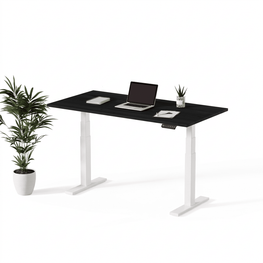Echo 2 | Standing Desk - IVONO