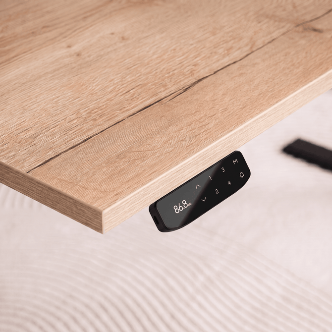 Echo Elite | Standing Desk