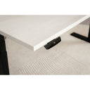 Echo | Standing Desk - IVONO
