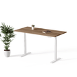 Echo | Standing Desk - IVONO