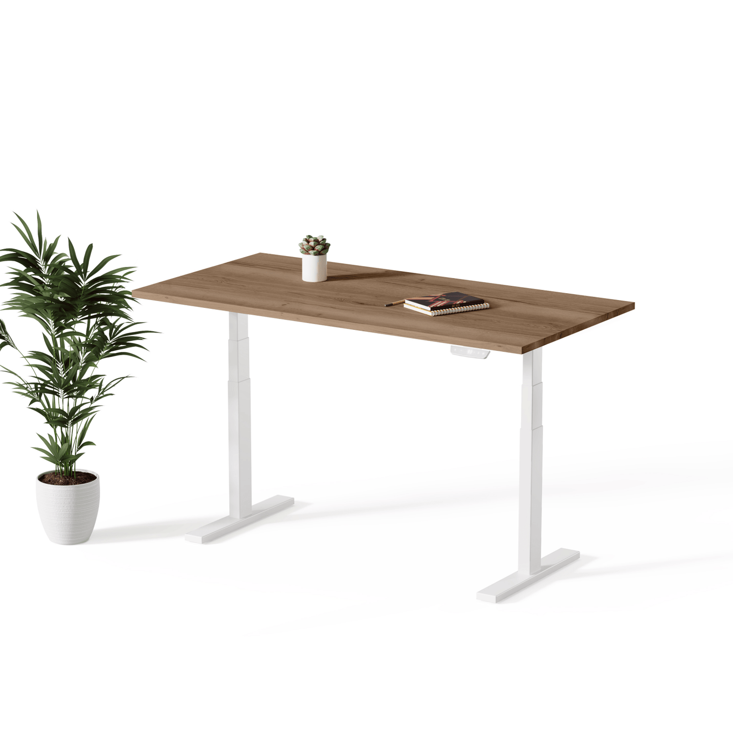 Echo | Standing Desk - IVONO