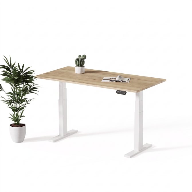 Echo Elite | Standing Desk