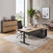 Milo | Executive Standing Desk