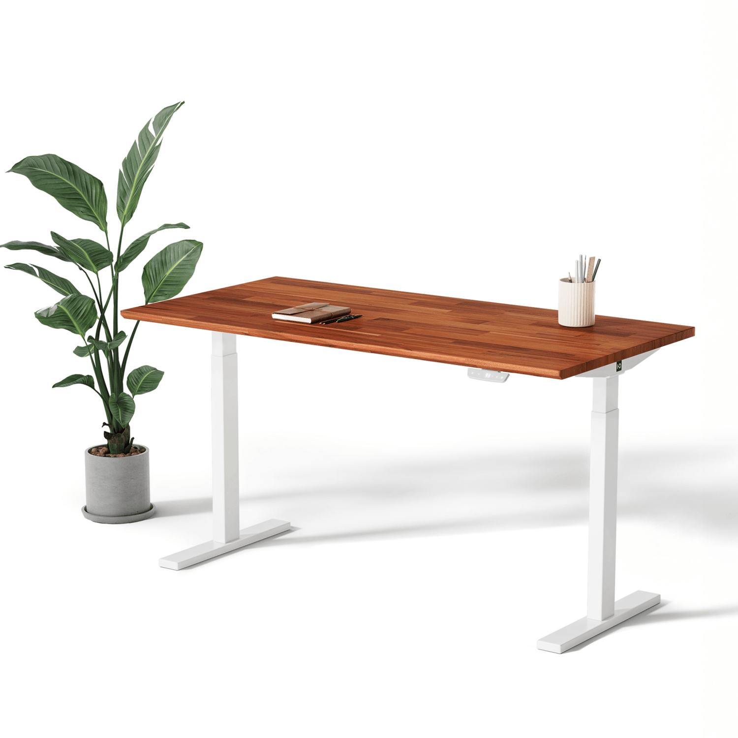 Toka | Standing Desk - IVONO