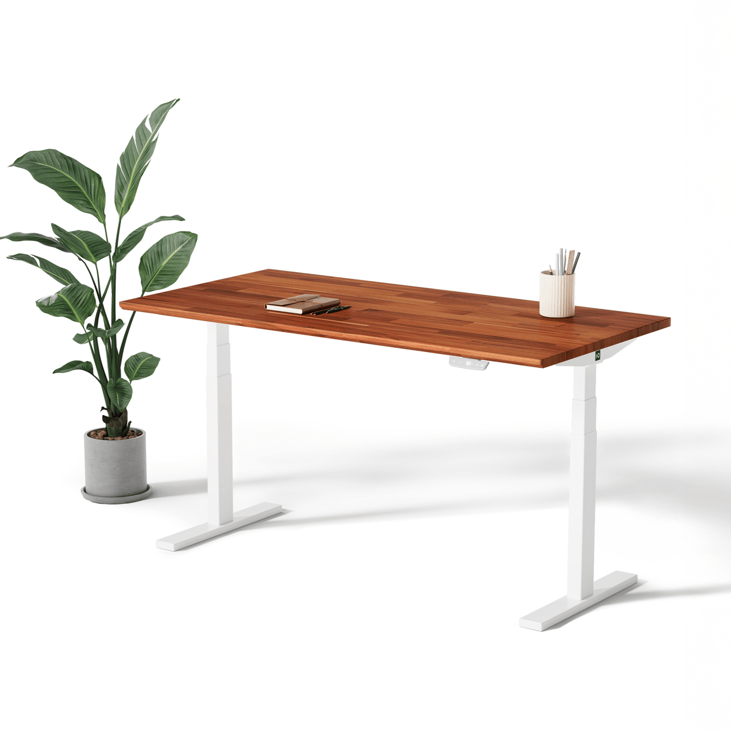 Toka | Standing Desk - IVONO