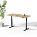 Toka | Sit-Stand Desk PRO