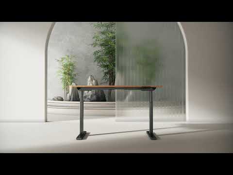 Raka | Sit-Stand Gaming Desk