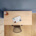 Kato | Sit-Stand Desk PRO - IVONO
