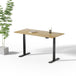 Toka | Sit-Stand Desk SMART - IVONO