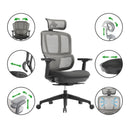 Zen | Ergonomic Office Chair - IVONO